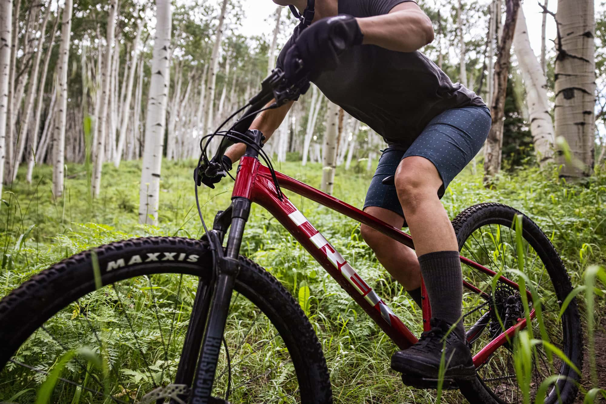 trek bikes in ventura