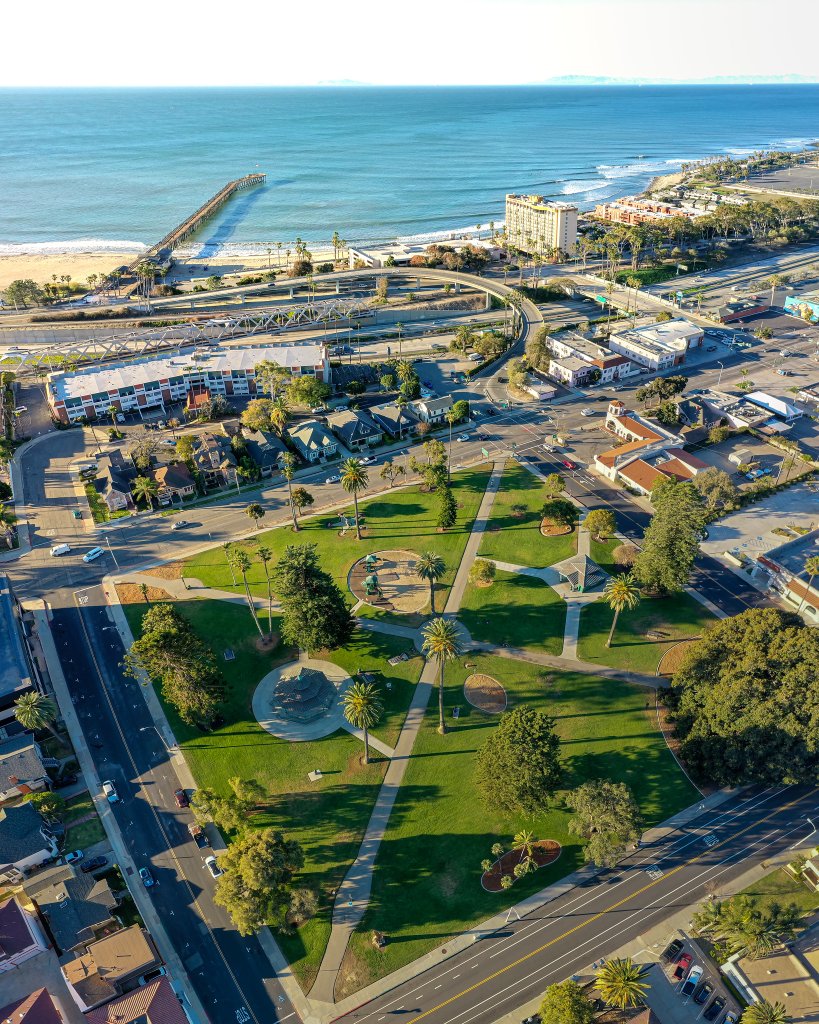 Plaza Park in Ventura, Morten Bay Fig Tree drone