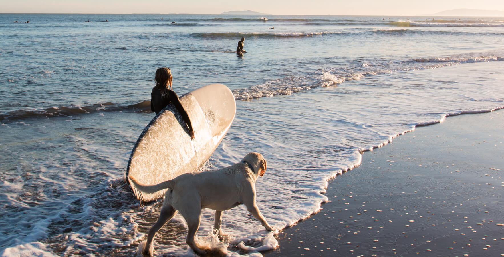 haole-s-top-spots-in-ventura
