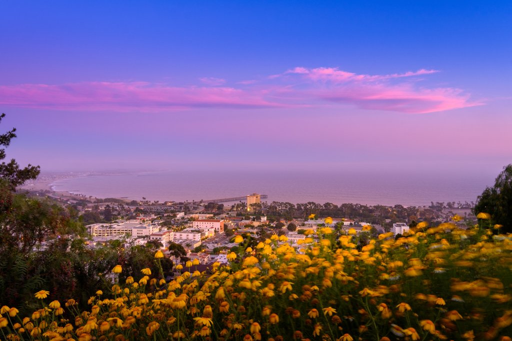 Pet Friendly Hotels Santa Rosa Ca Pet Friendly Hotels Santa Rosa Ca