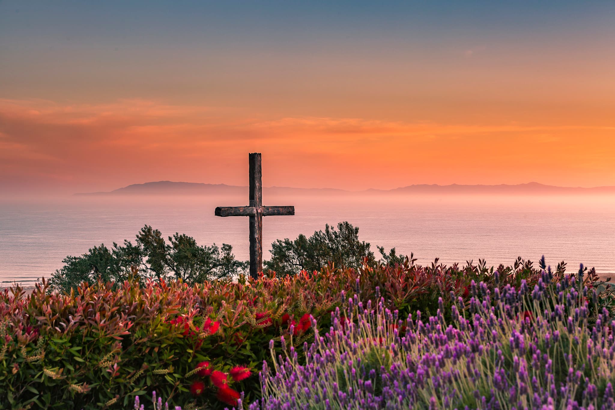 grant park cross ventura sunset