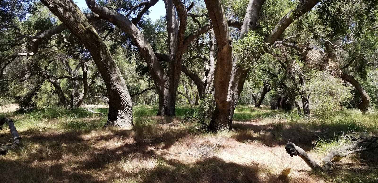 Chumash Indian Museum in Thousand Oaks CA