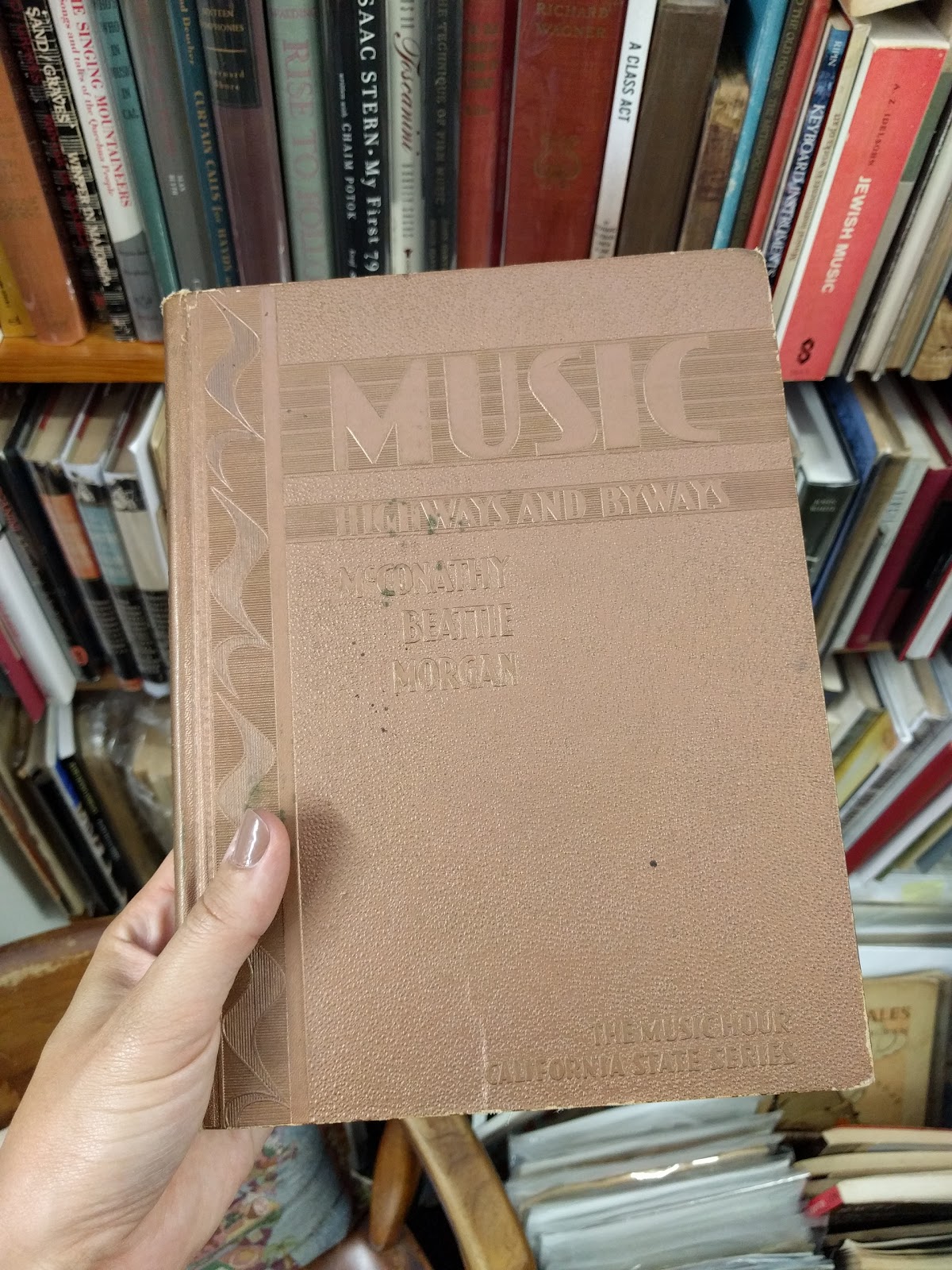 Calico Cat in Ventura CA