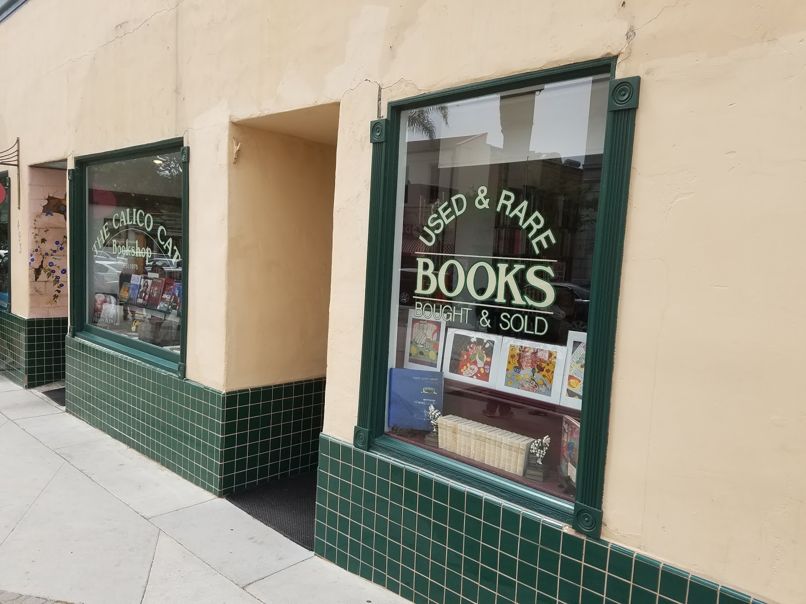 Calico Cat in Ventura CA