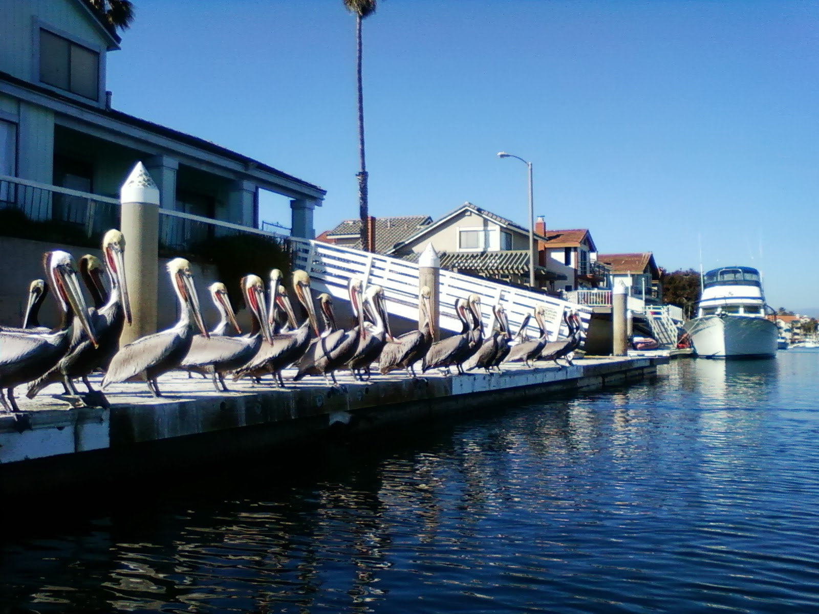 Channel Islands Kayak Center in Oxnard CA