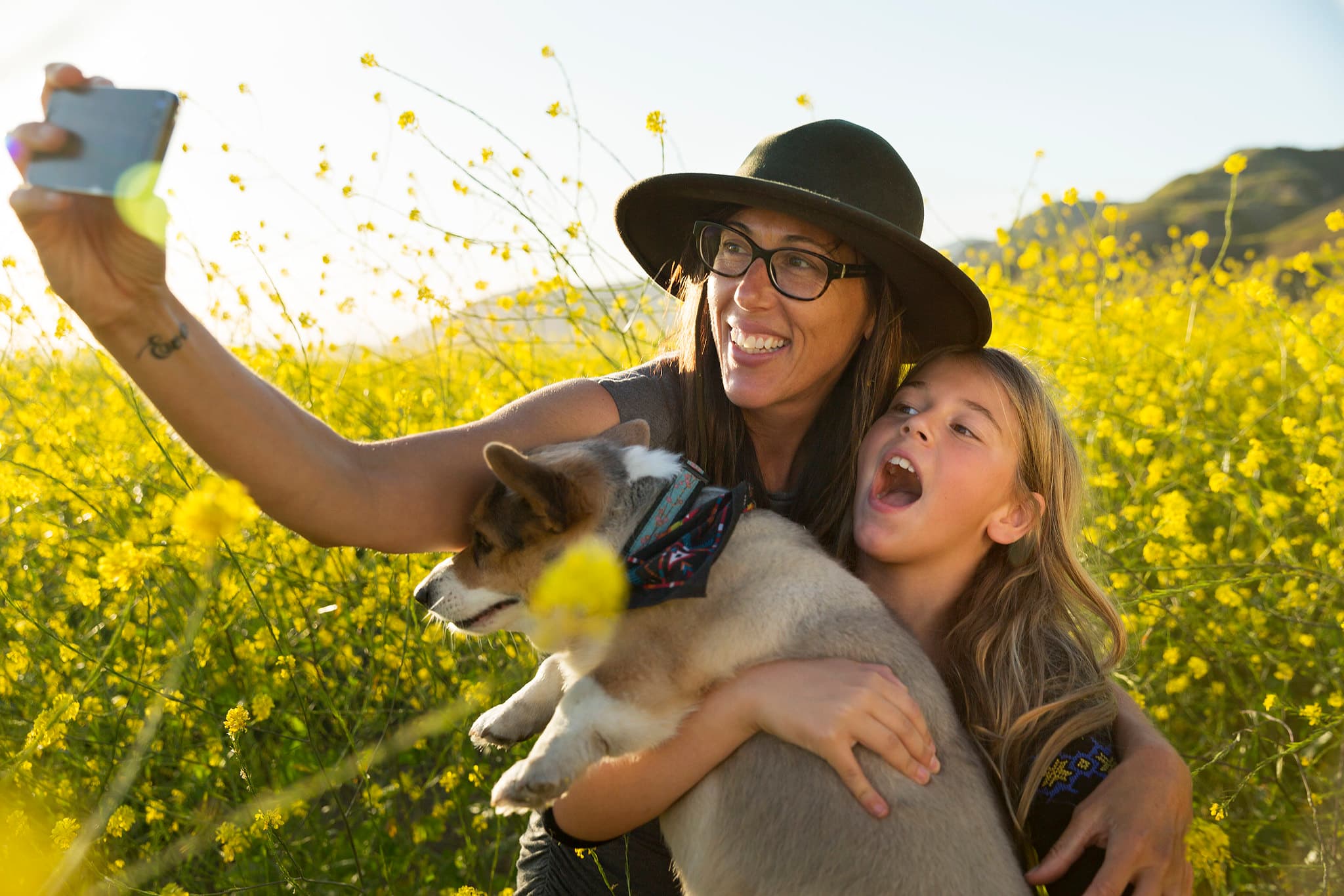 ventura arroyo verde park dog friendly