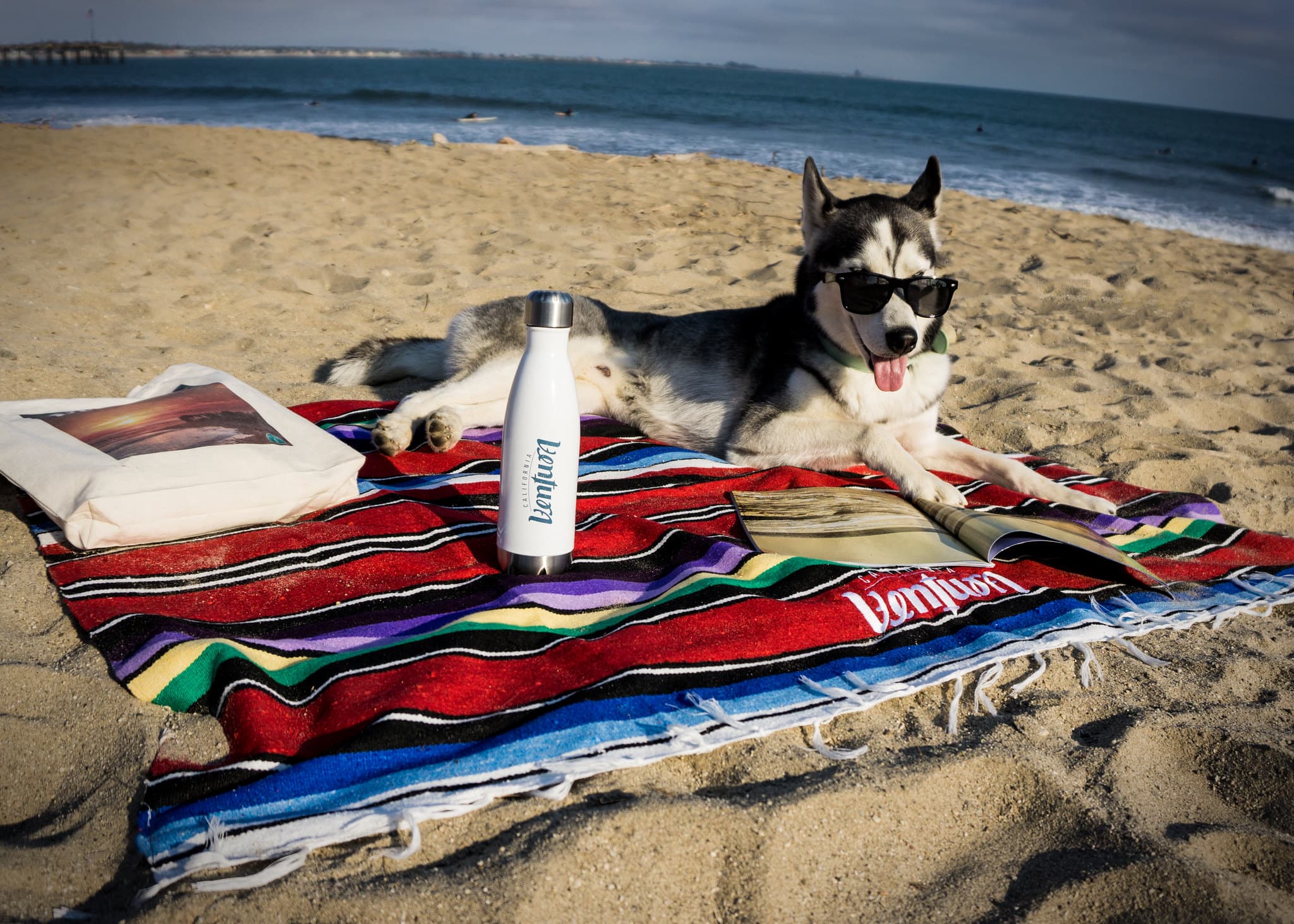 7 Reasons Why Your Dog Needs A Ventura Vacation (With You).