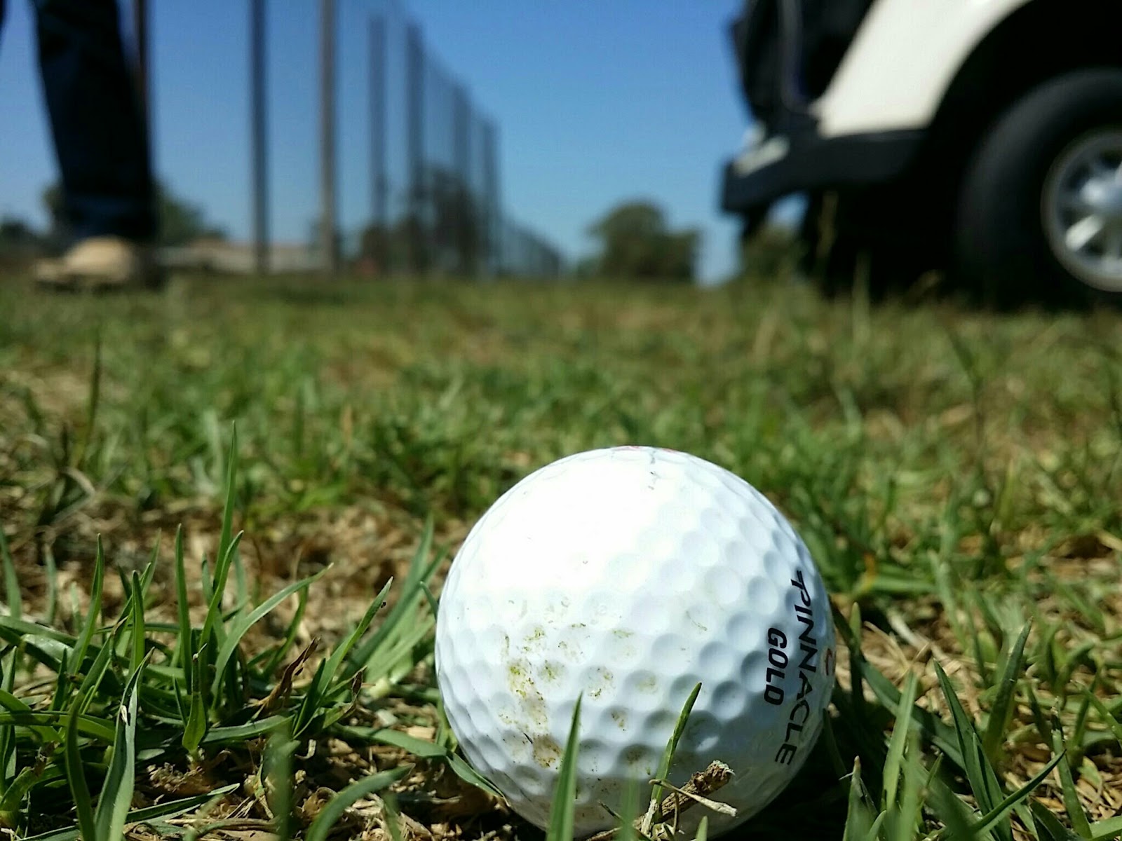 Saticoy Regional Golf Course in Ventura