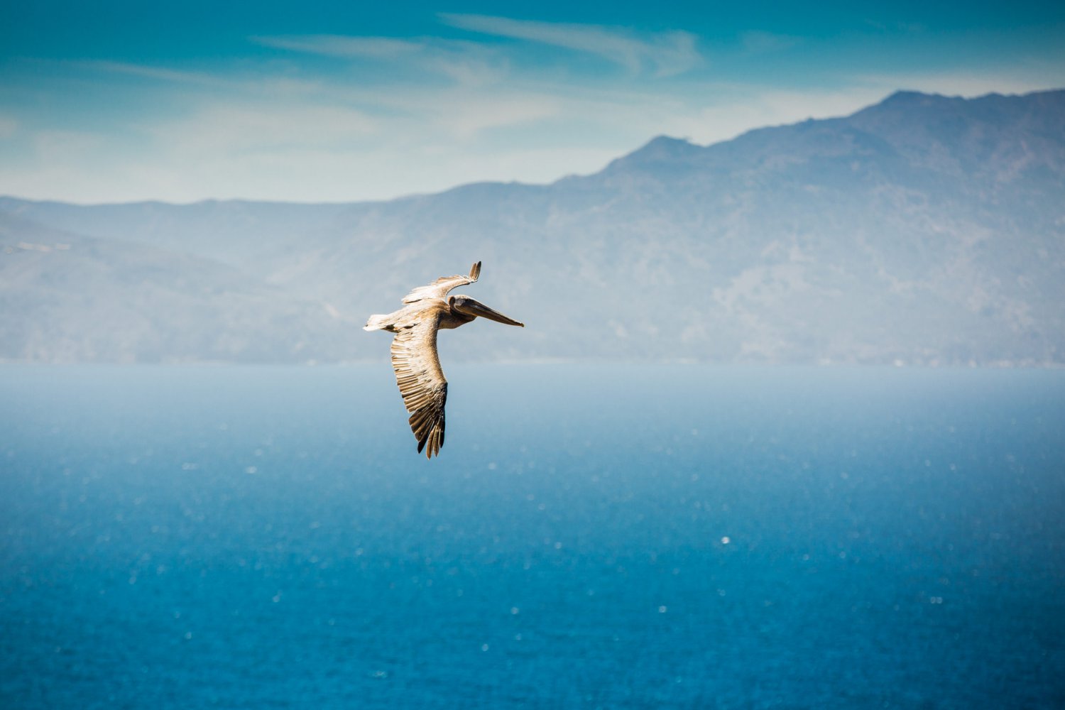 Ten Fun Facts about Channel Islands National Park