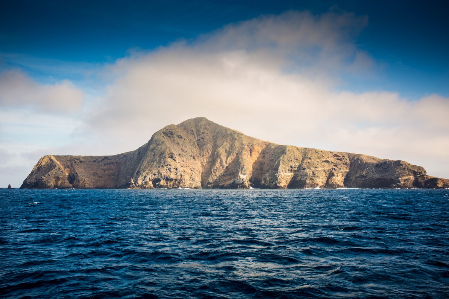 Ten Fun Facts about Channel Islands National Park
