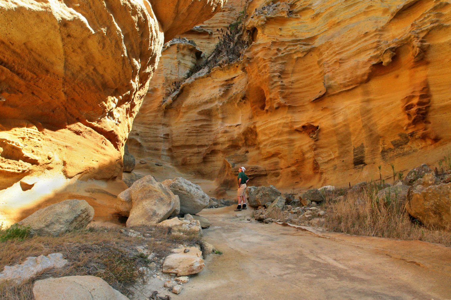 Ventura Hiking Trails