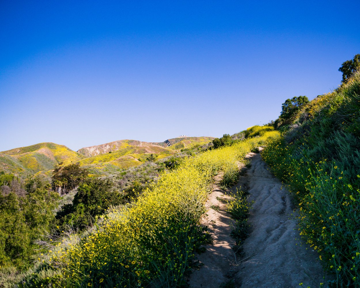 Hiking Trails In Ventura County