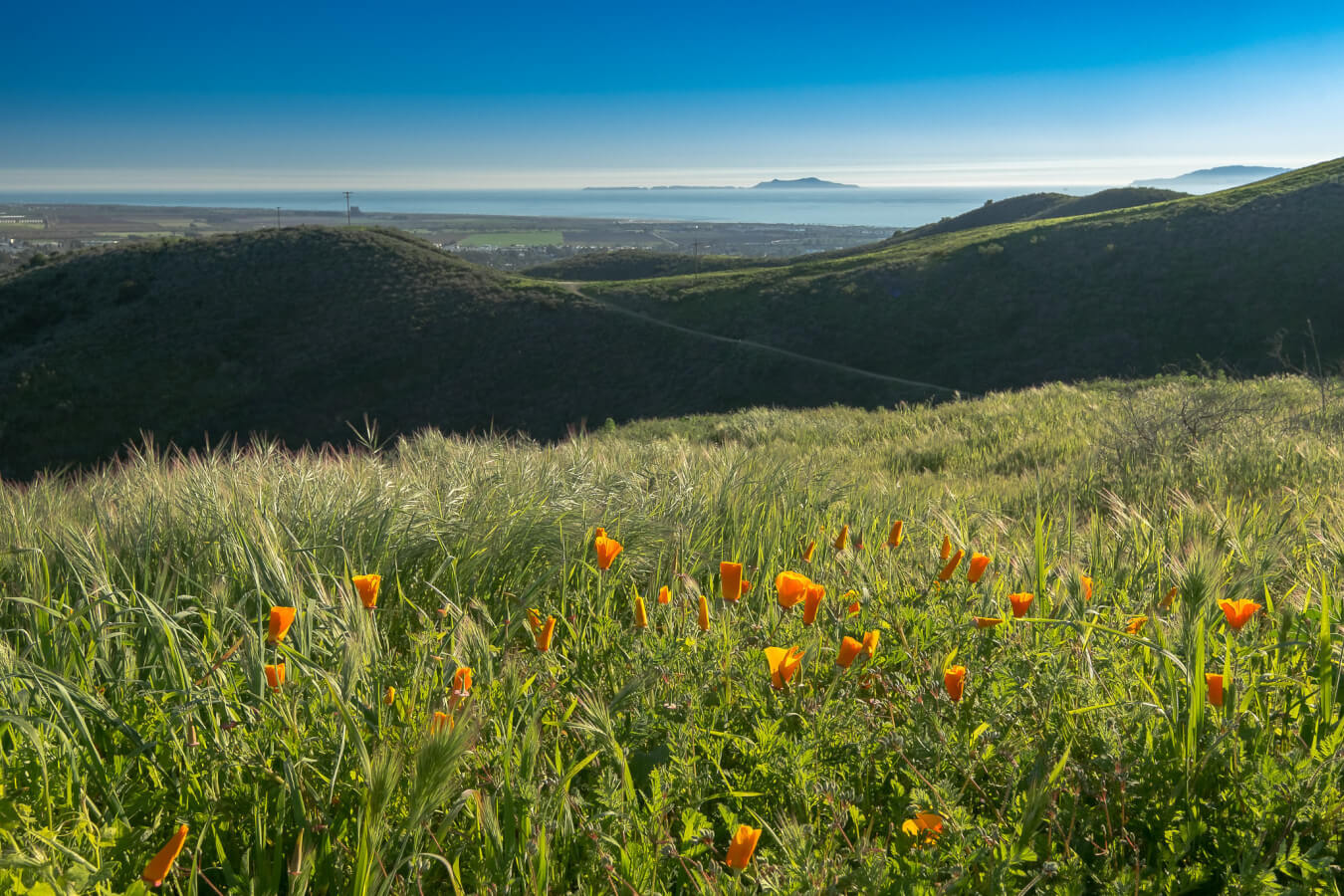 Hiking Trails In Ventura County Ventura Hiking Trails
