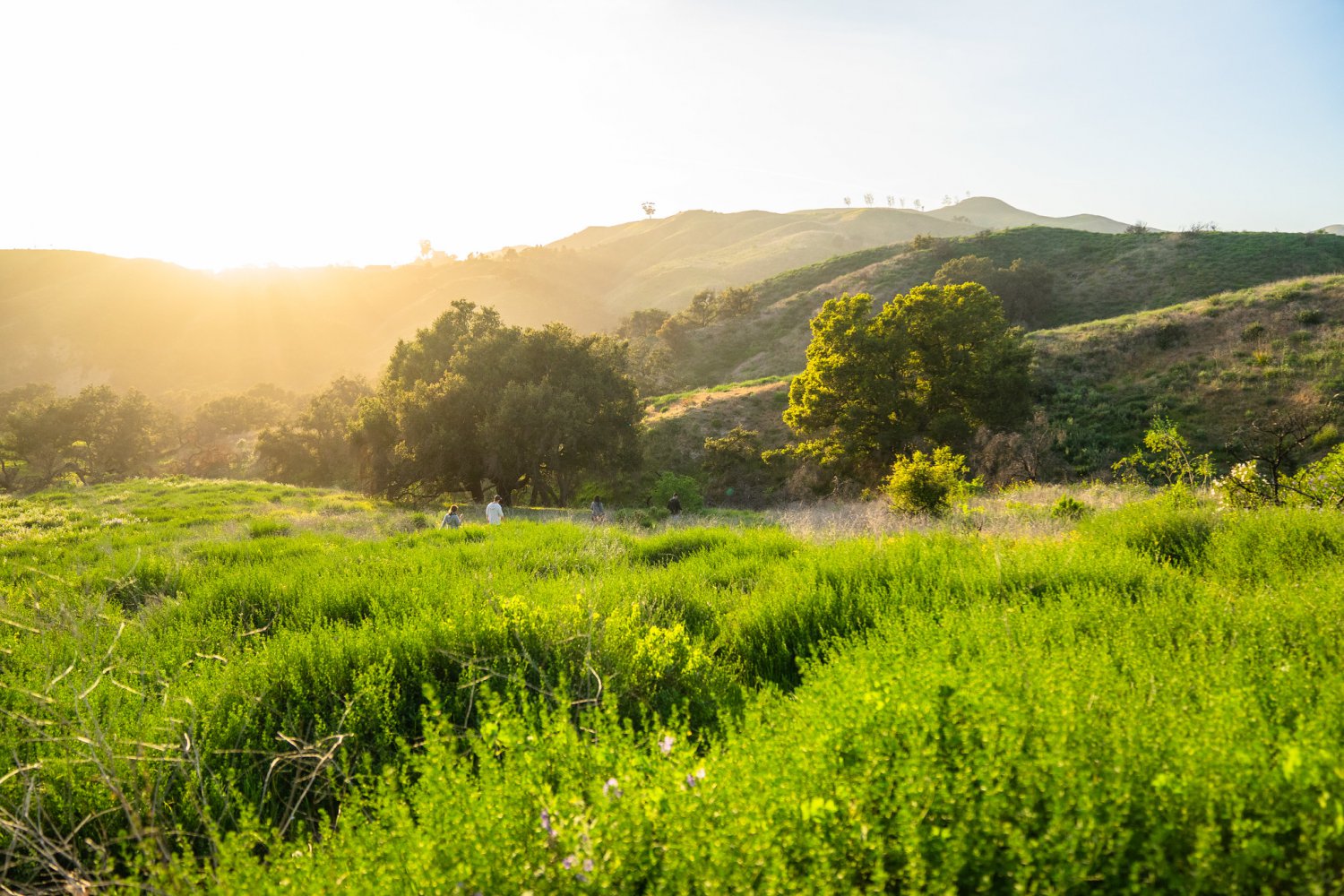 Ventura Hiking Trails