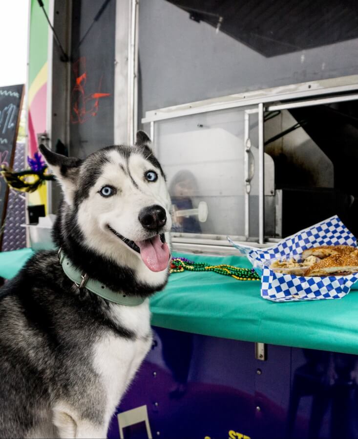 food truck with dog