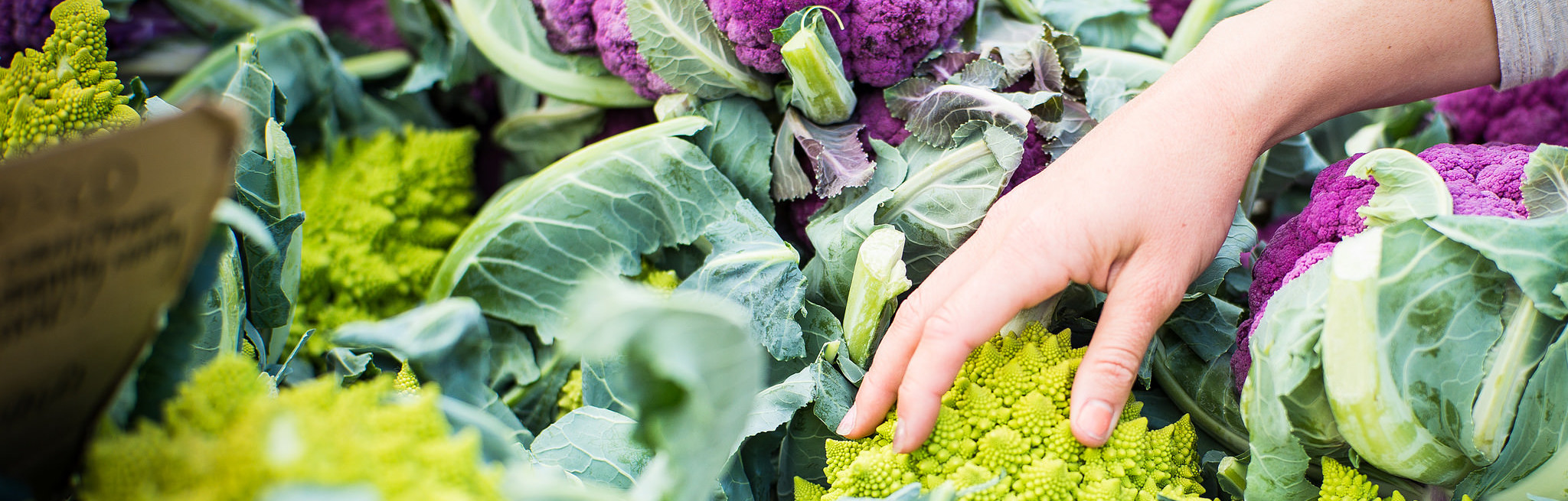 Ventura Farmers Market