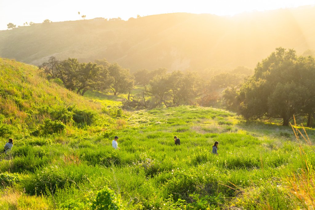 hiking in Harmon Canyon