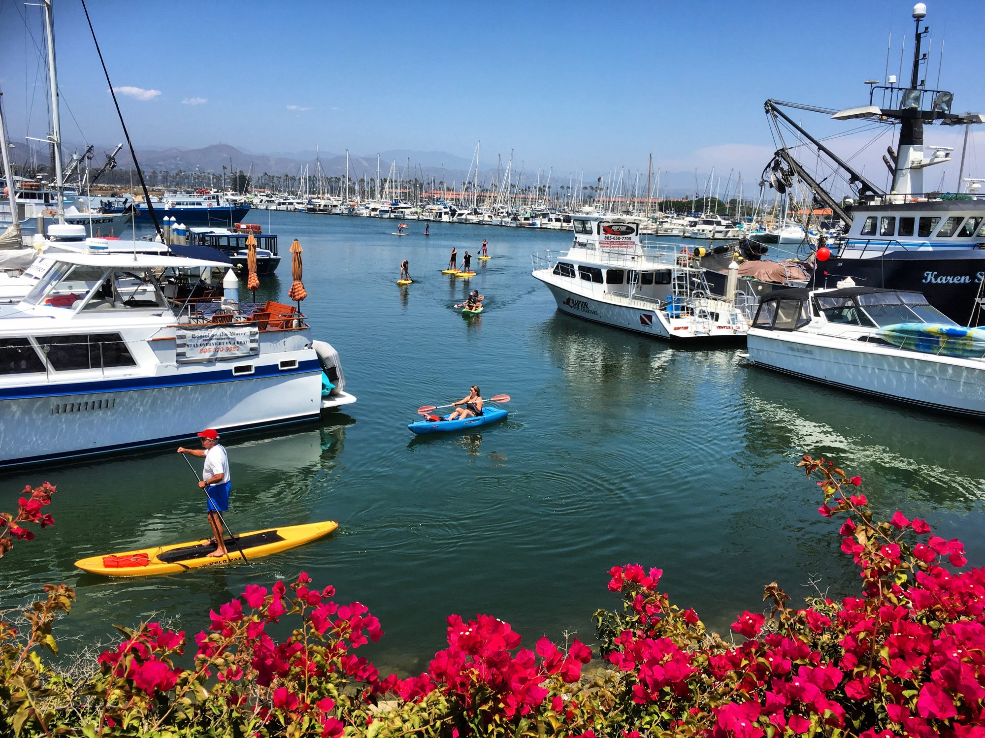 ventura harbor boat cruise