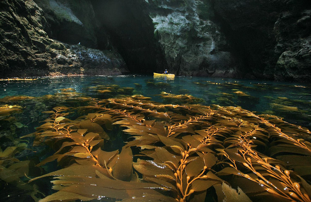 The heart-song and magic of Channel Islands National Park