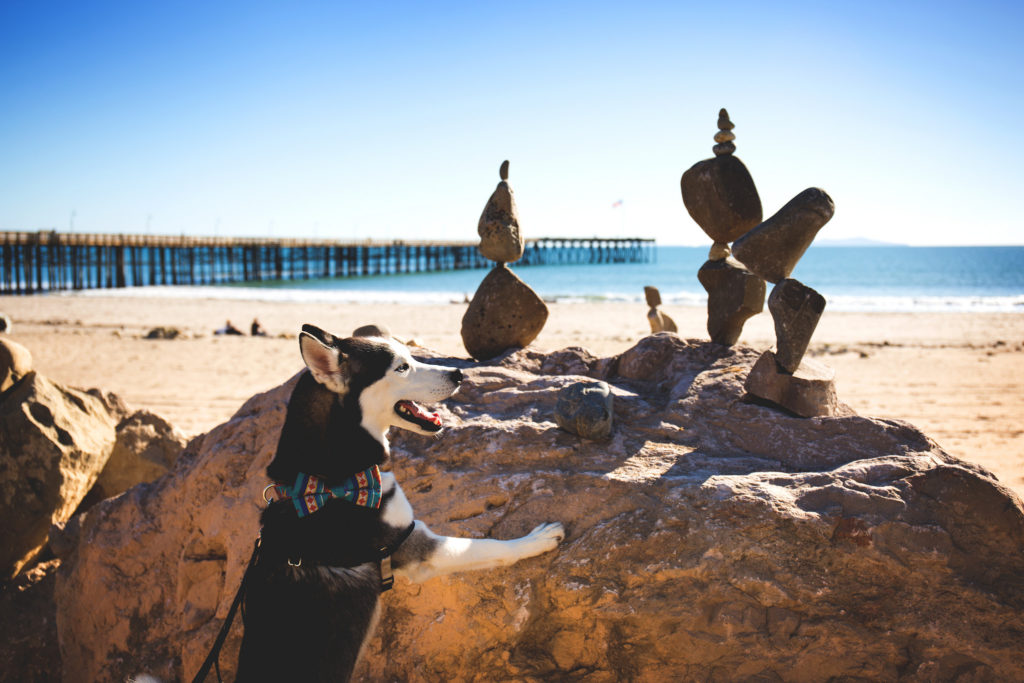 The story of the man who dots Ventura beaches with unique works of art that have been seen by millions