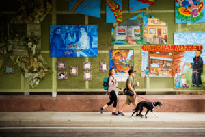 Car-Free Ventura: Pet-friendly Edition