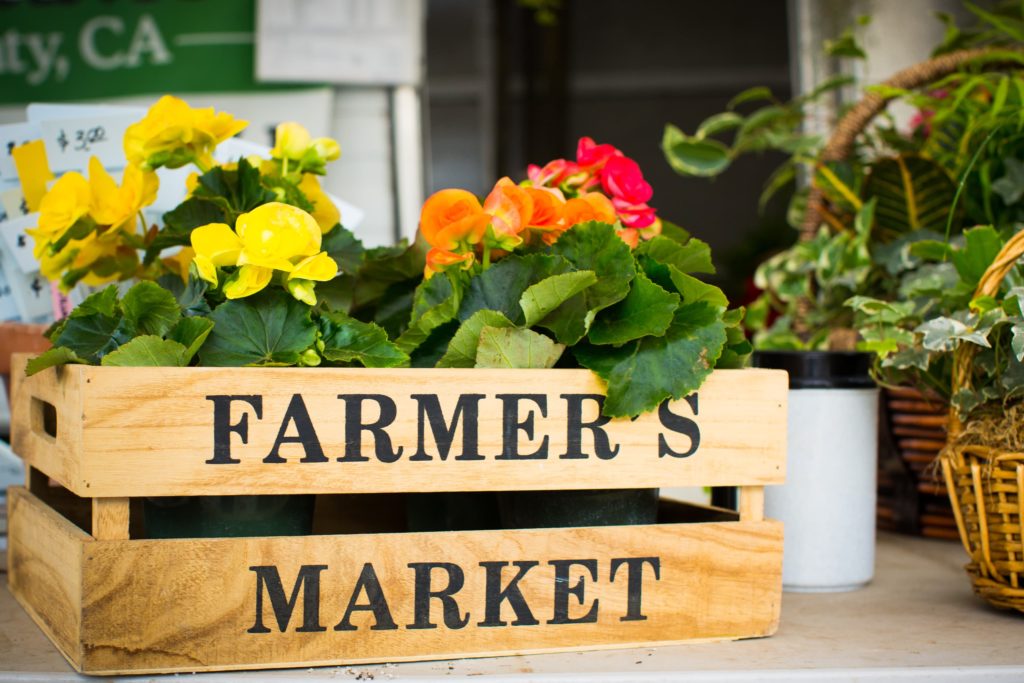 Flowers at Ventura's farmers market