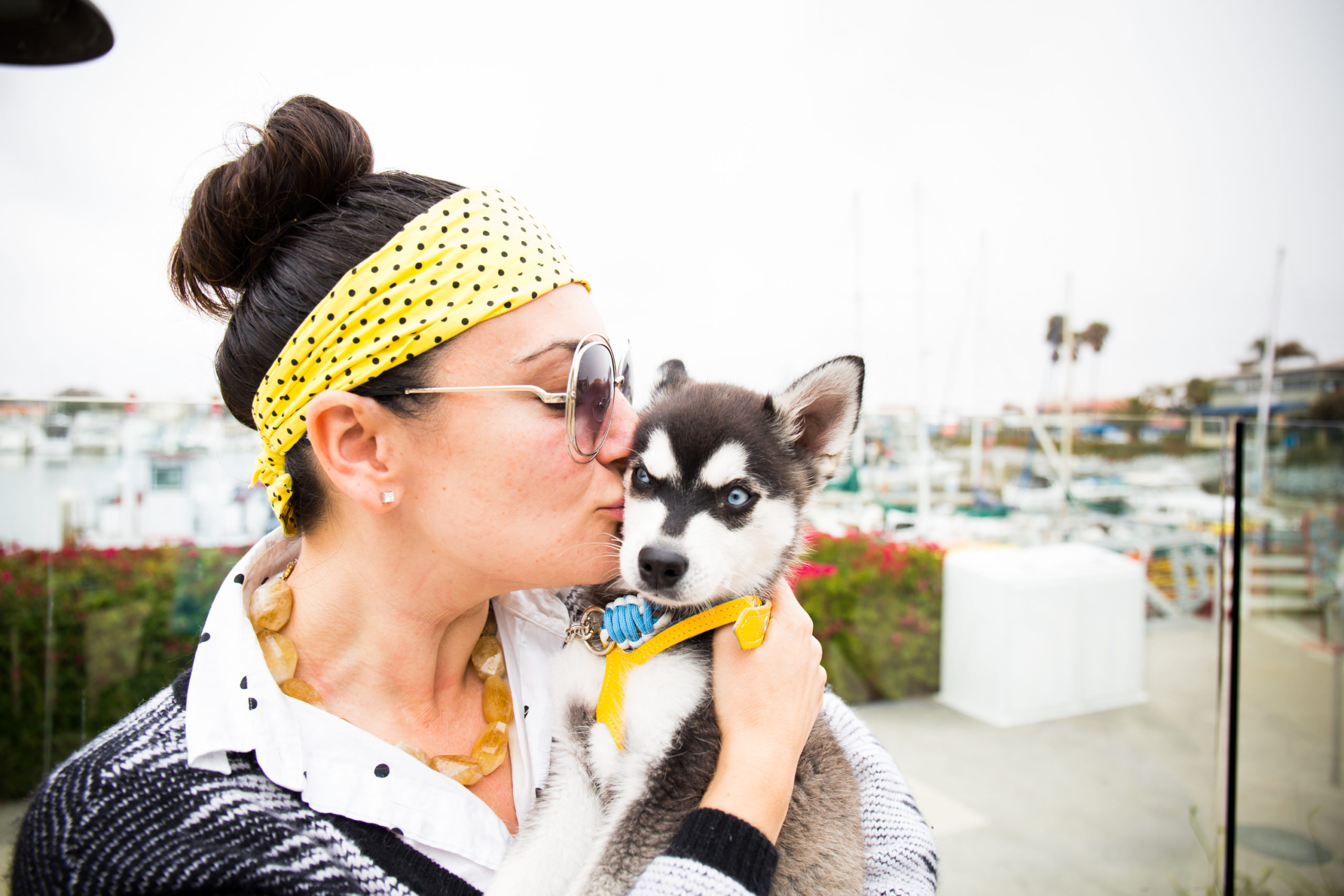 7 Reasons Why Your Dog Needs A Ventura Vacation (With You).