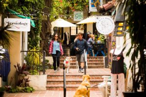 ventura jardin patio dog friendly shopping