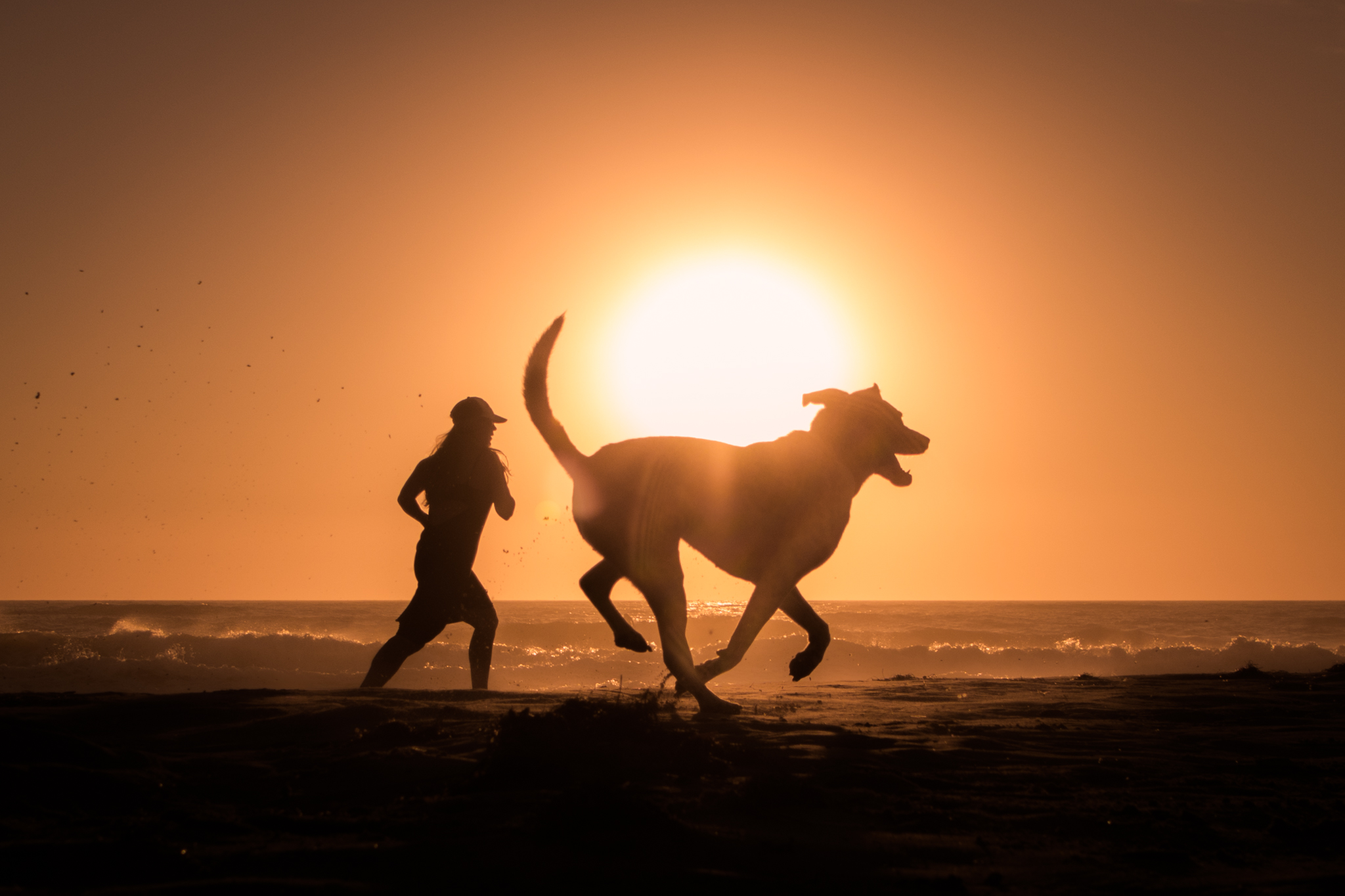 7 Reasons Why Your Dog Needs A Ventura Vacation (With You).