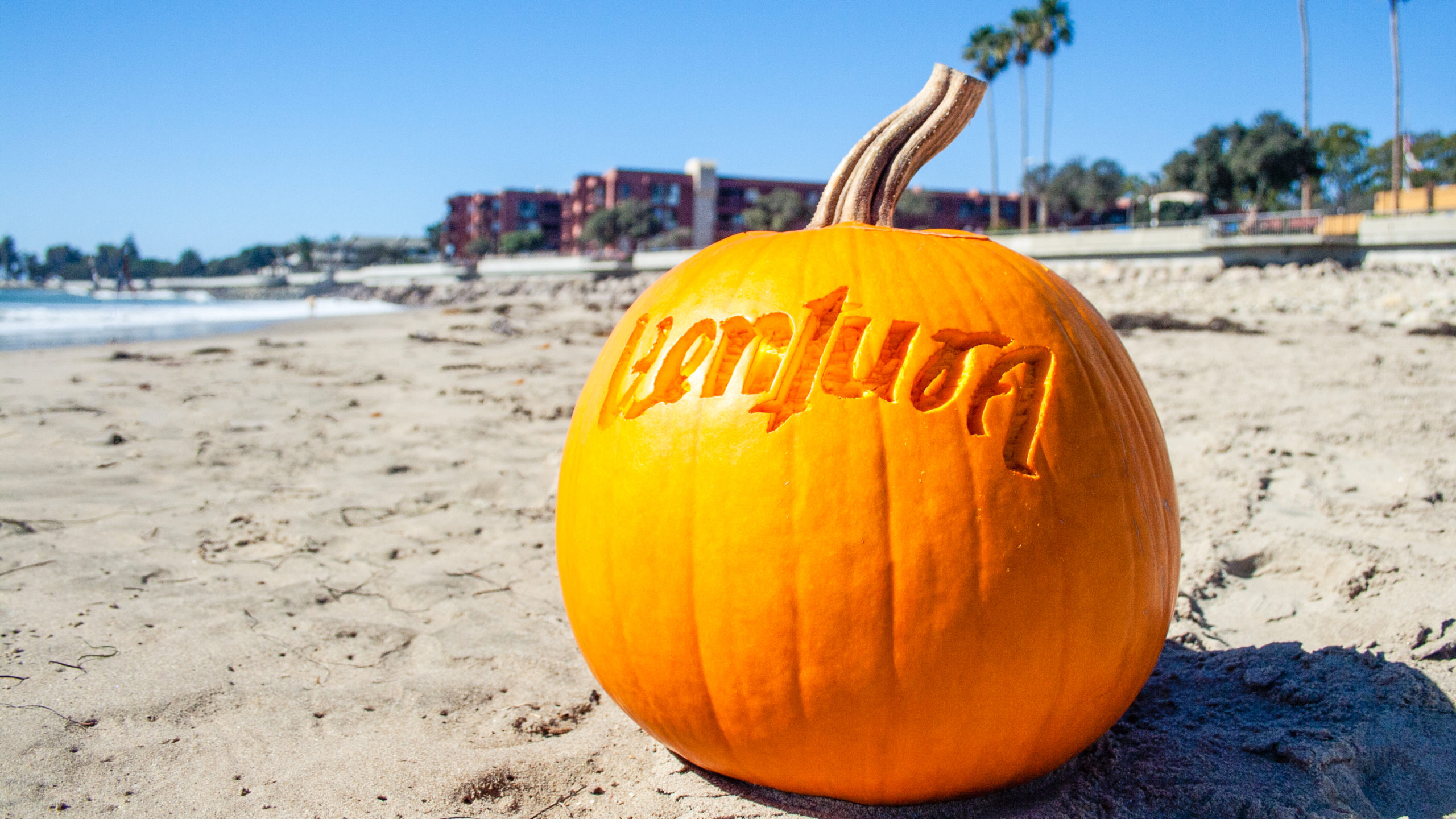 What's Happening in Ventura in October?