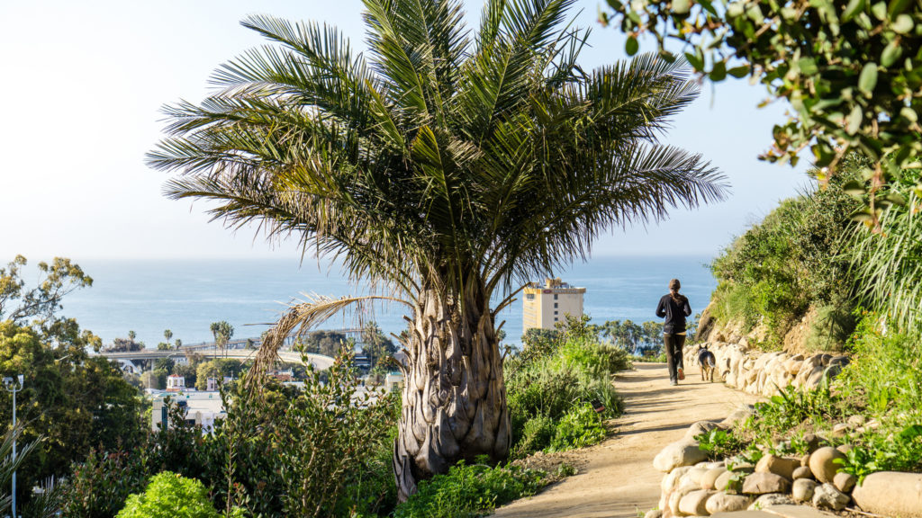 Top 5 Places to Run in Ventura