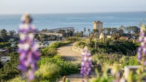 ventura botanical gardens wedding