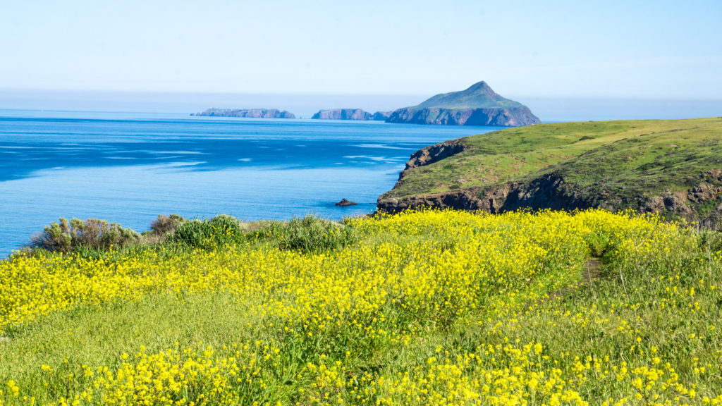 Santa Cruz Island