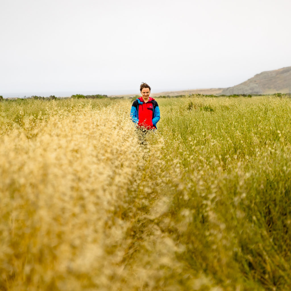 This is what camping at Santa Rosa Island in Channel Islands National Park looks like