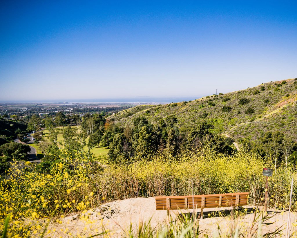 Arroyo Verde Park