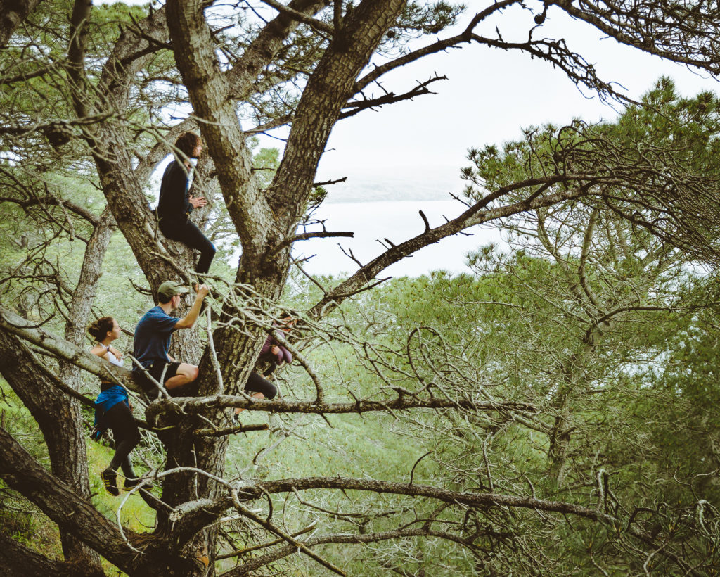 This is what camping at Santa Rosa Island in Channel Islands National Park looks like