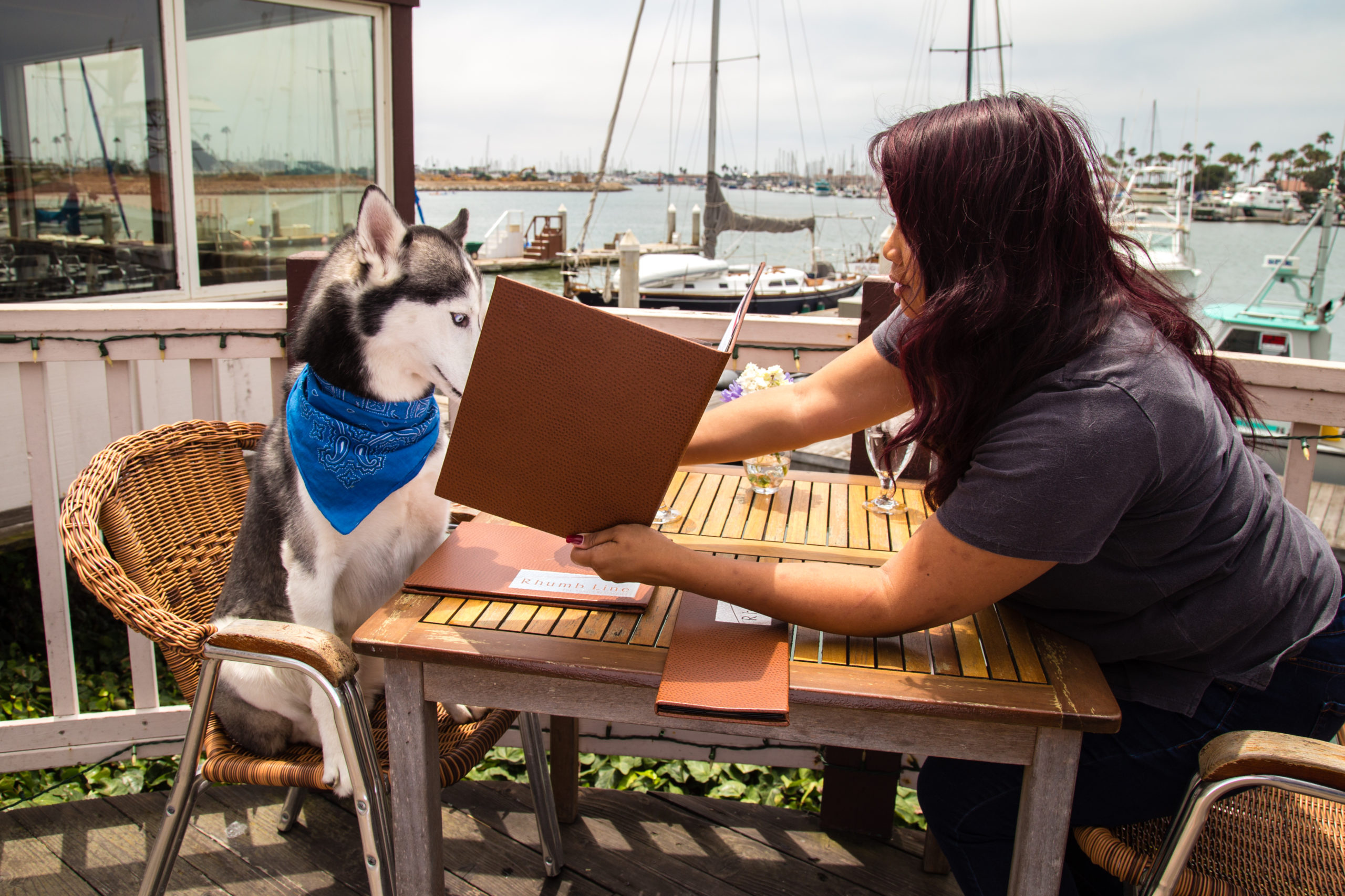 7 Reasons Why Your Dog Needs A Ventura Vacation (With You).