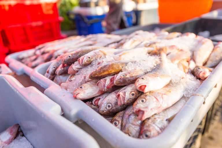 Ventura Fishermans Market Ventura Harbor