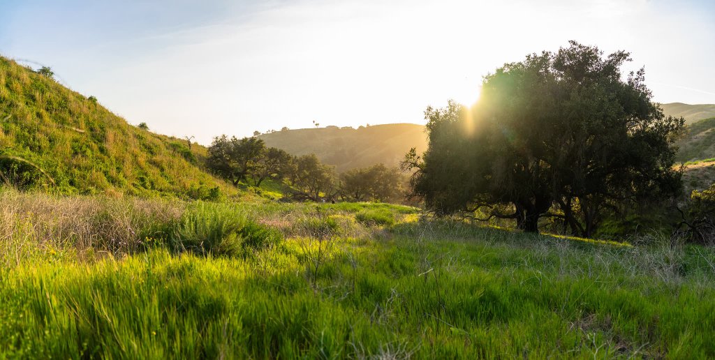 Harmon Canyon Ventura