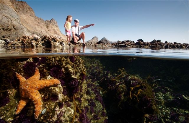 Discover Waterfront Wednesdays at Ventura Harbor Village