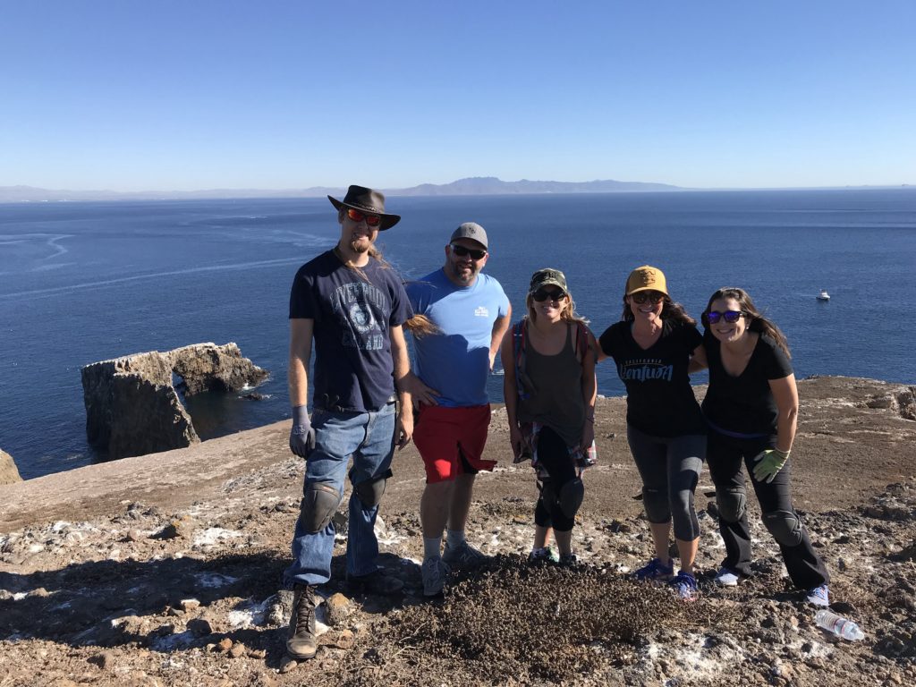 This is what volunteering at Channel Islands National Park looks like.