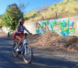 ventura bike depot