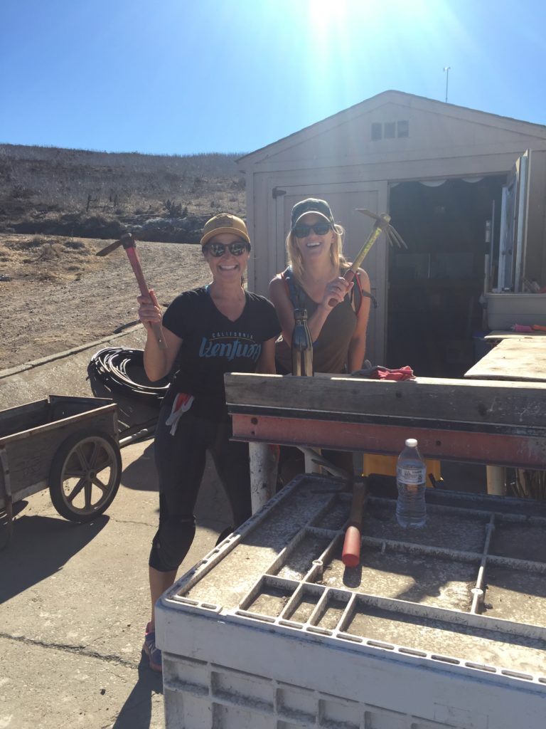 This is what volunteering at Channel Islands National Park looks like.