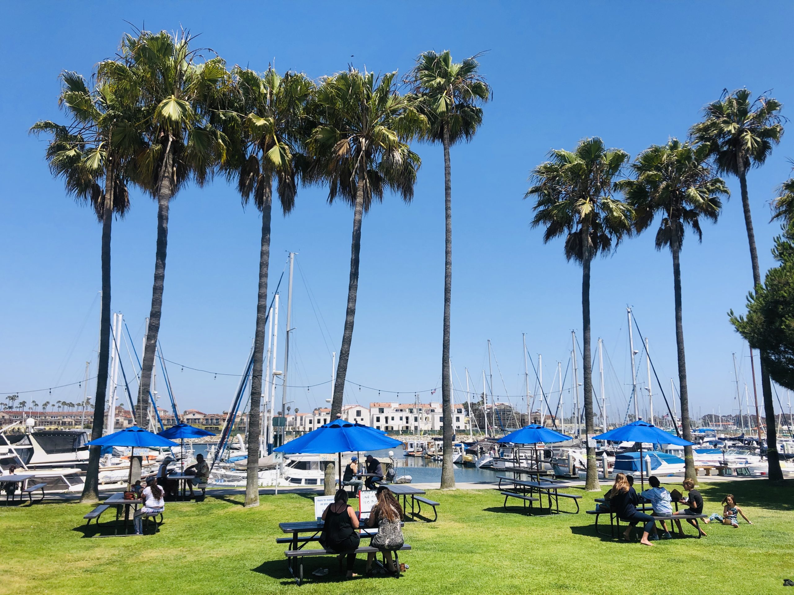 10 Tips to Safely Visit Seaside Ventura Harbor Village