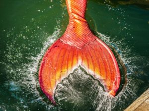 mermaid month makes a splash ventura harbor village