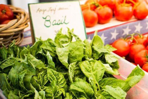 Tomato basil at Ventura Farmers Market