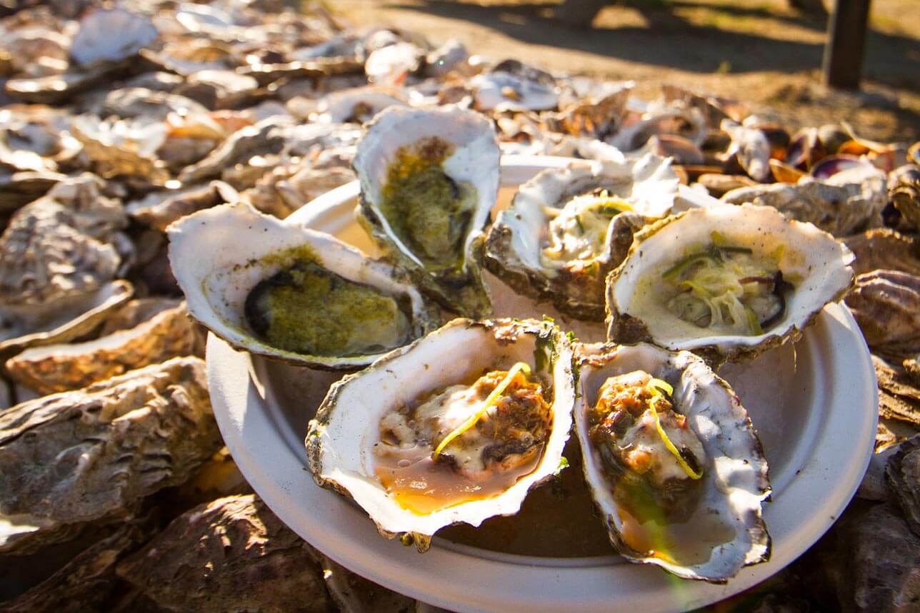 Seaside Oyster Shucking