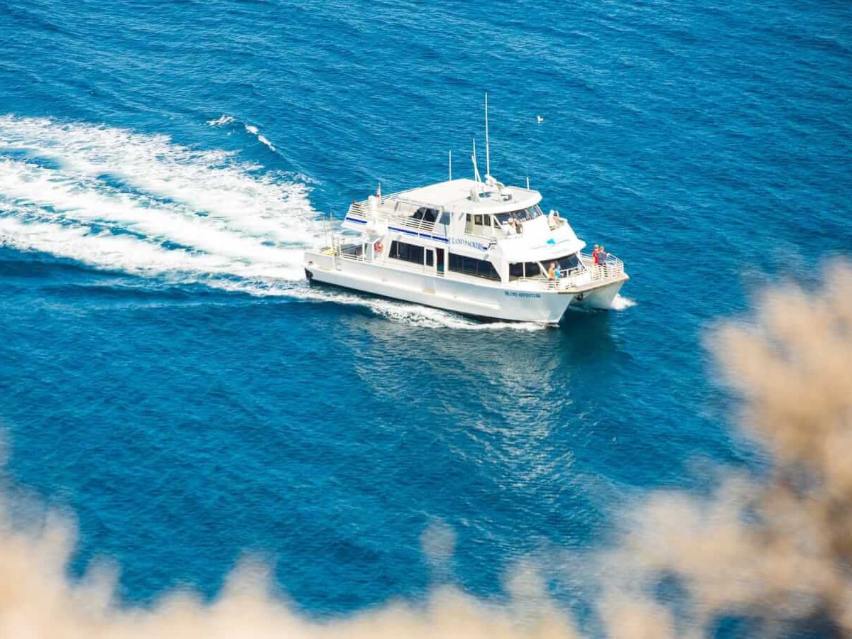 Island Wildlife Cruises 