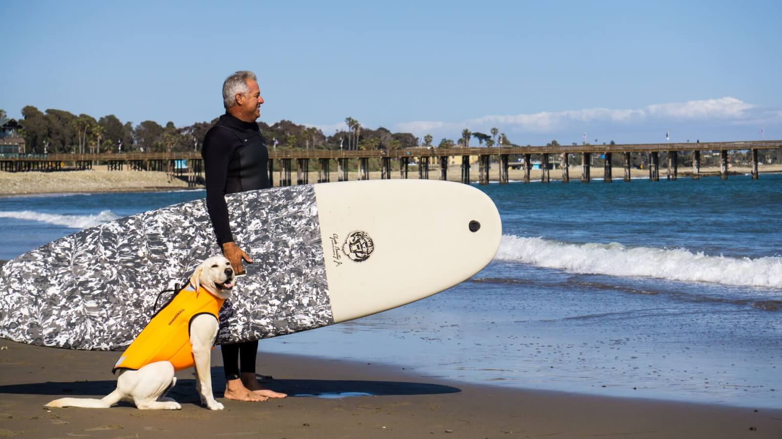 Dogs are welcome at Ventura beaches