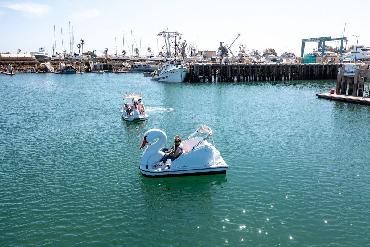 swan boats at the ventura harbor